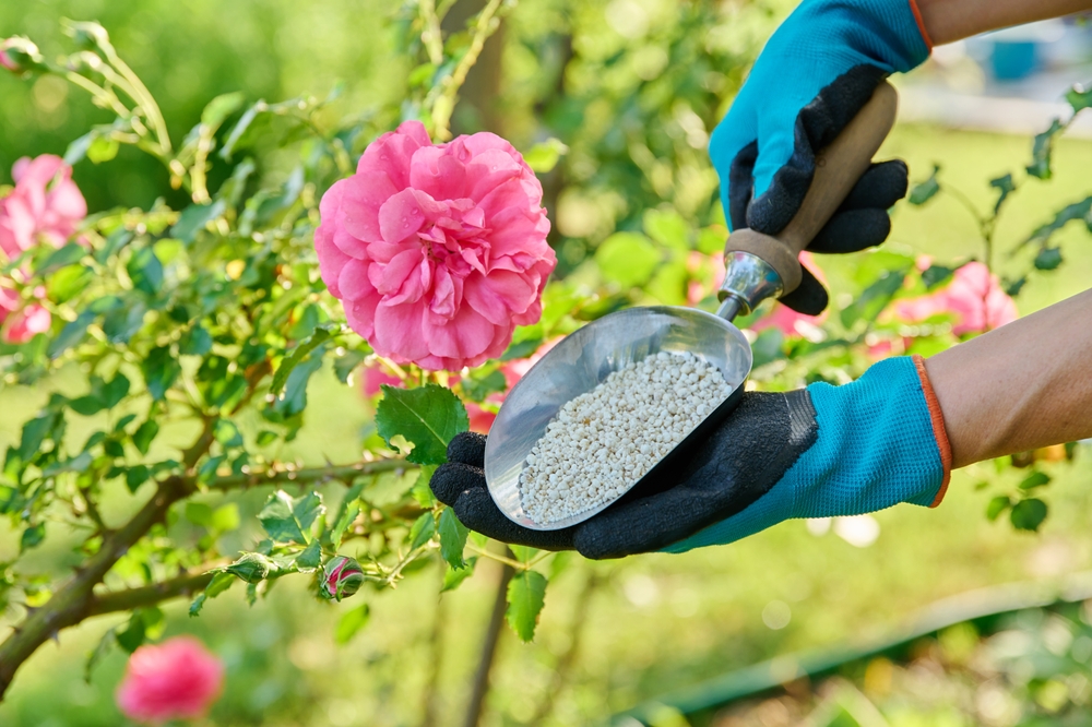 Slow-release granular fertilizer