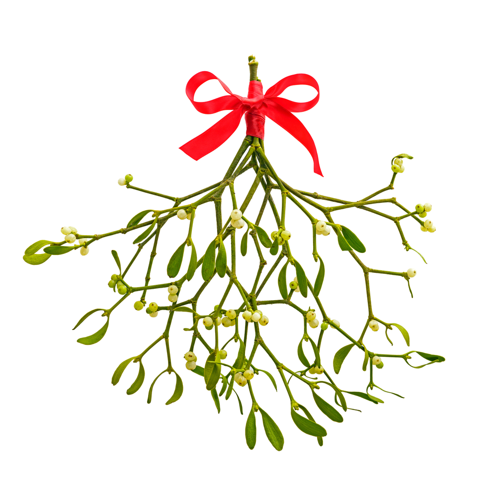 mistletoe hanging on a doorframe