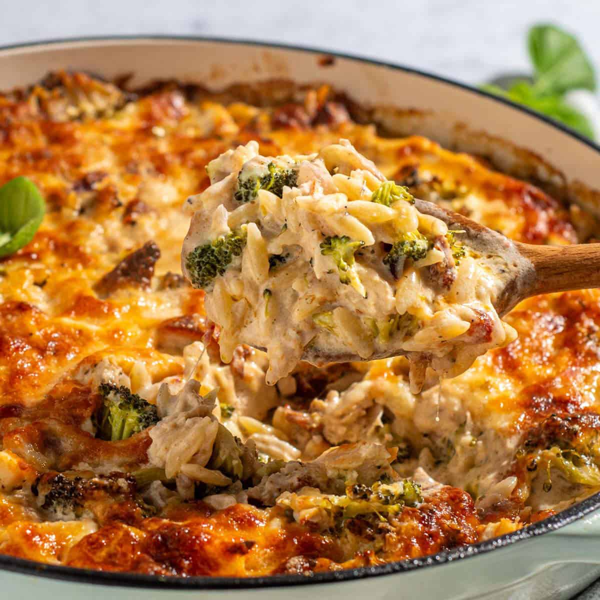 Creamy Chicken Orzo Pasta Bake