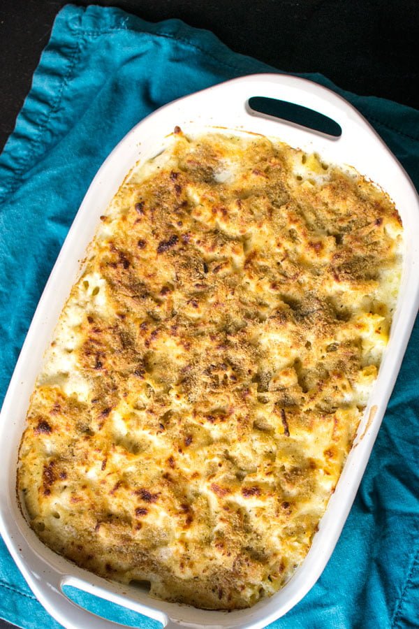 Creamy Alfredo Pasta Bake! Creamy alfredo sauce with chicken and penne pasta. | HomemadeHooplah.com