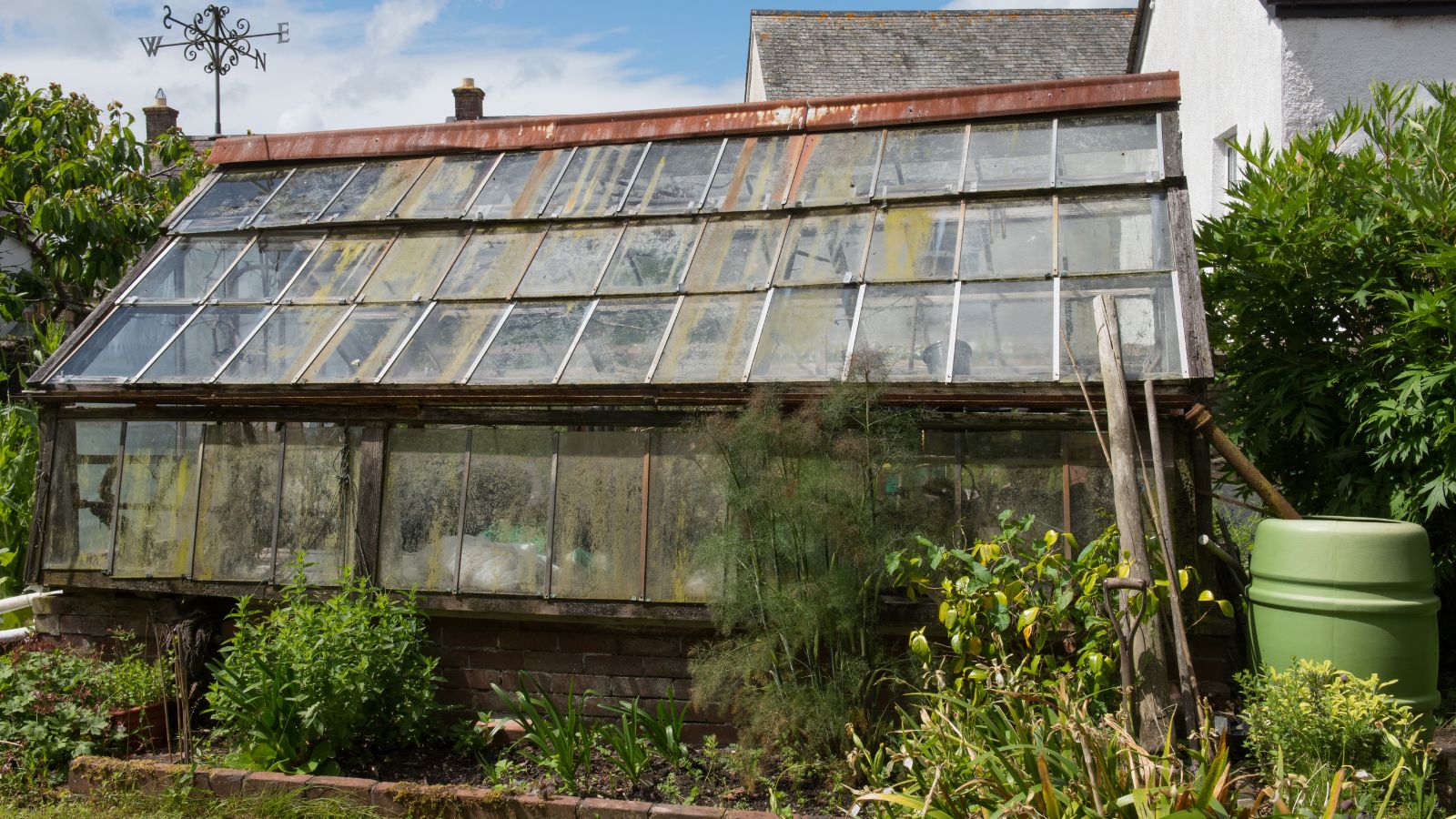 dirty greenhouse