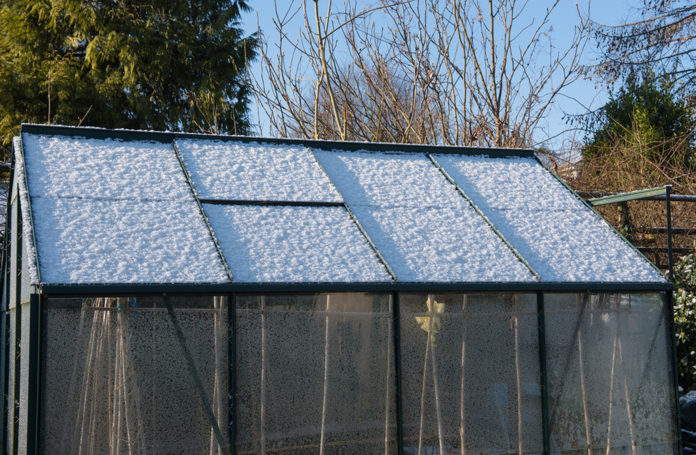 greenhouse covered in snow in winter