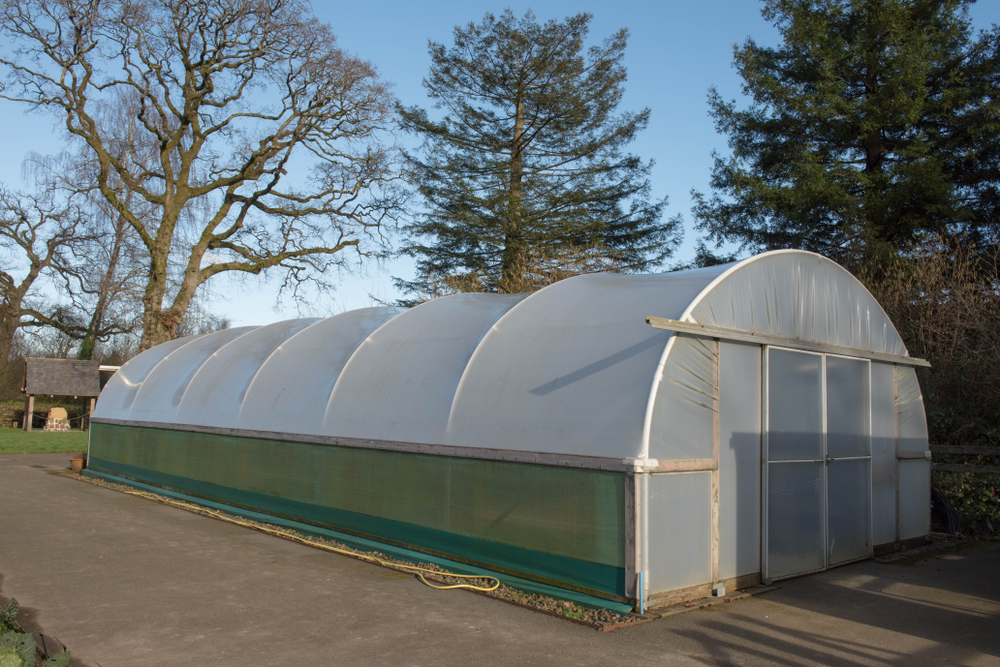 dirty polytunnel