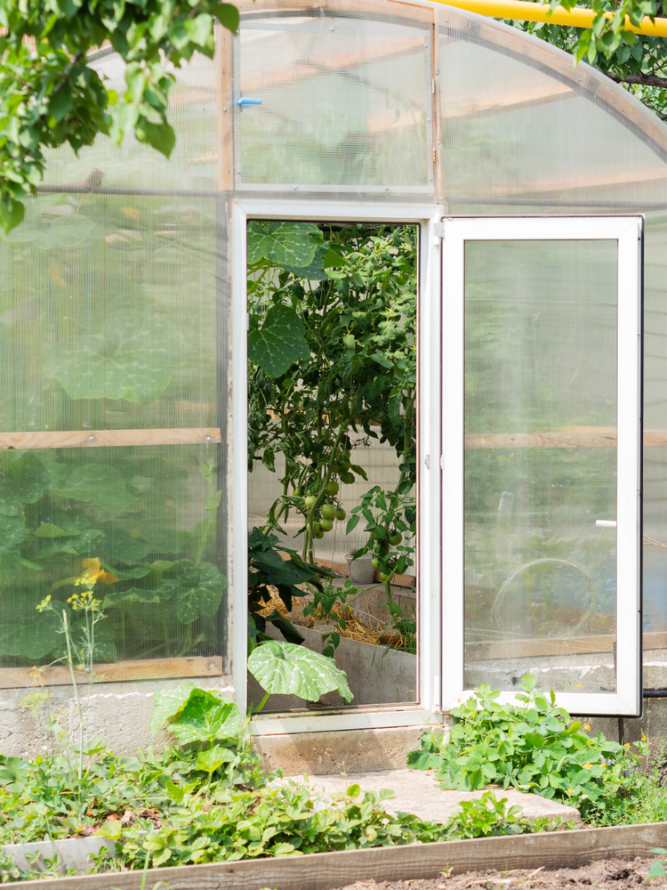 greenhouse door