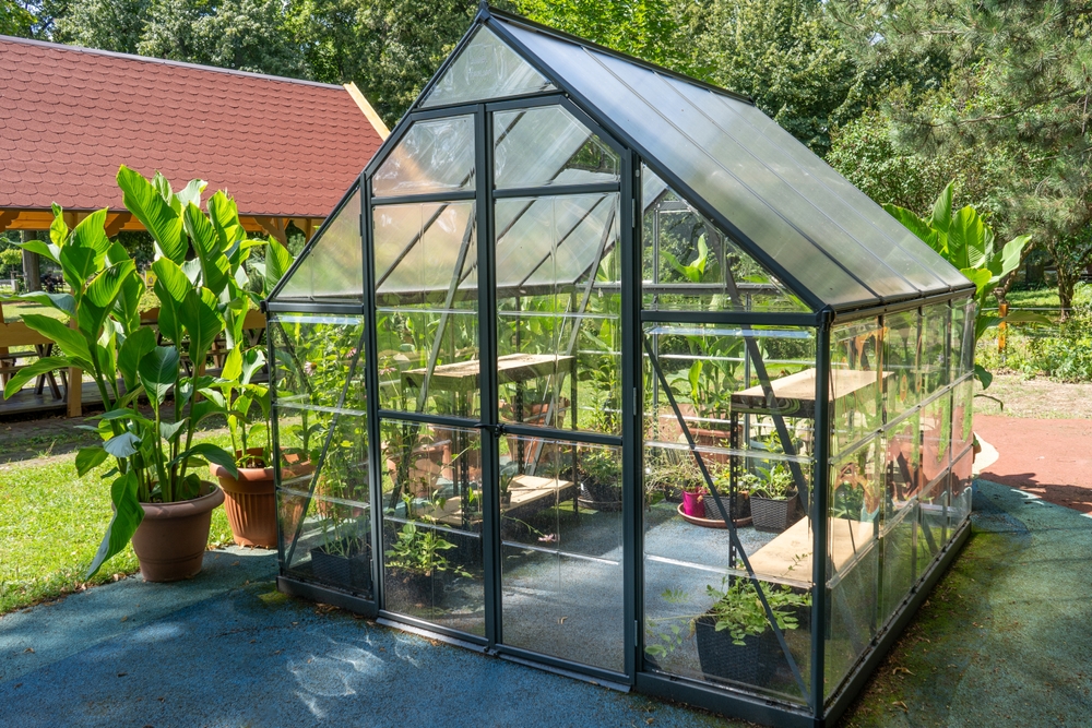 clean greenhouse