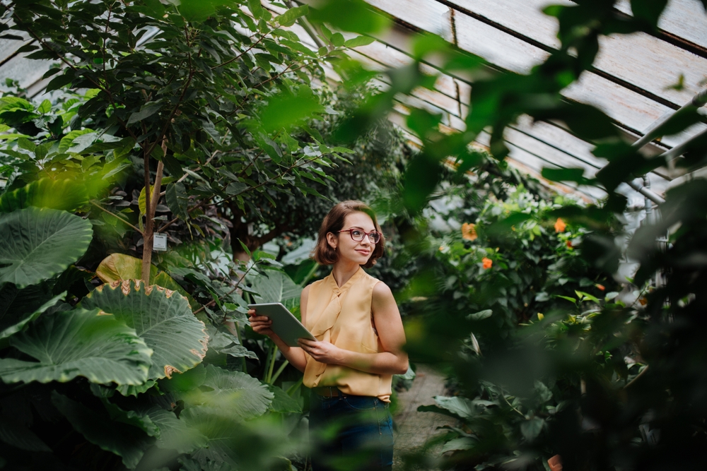 greenhouse full of plants