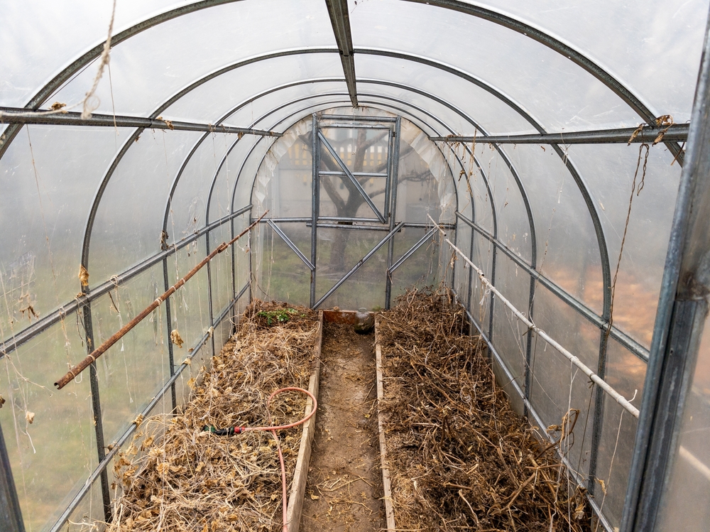 empty polytunnel