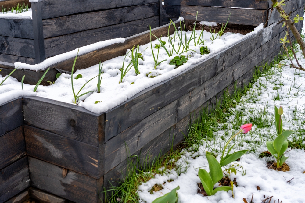raised garden bed in winter