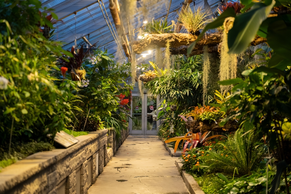 inside a greenhouse