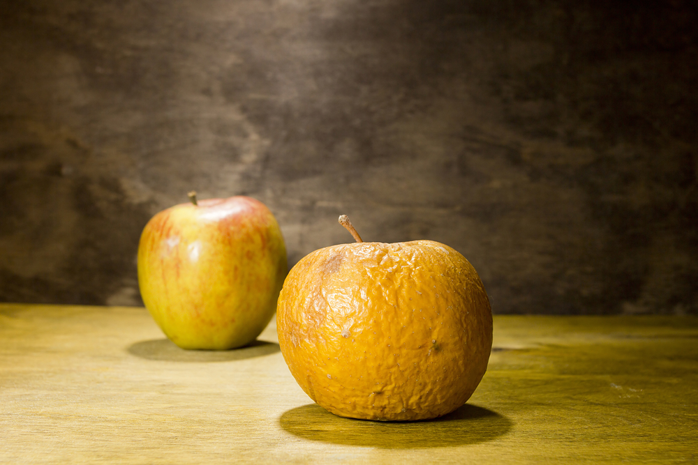 rotten apple ready to throw out