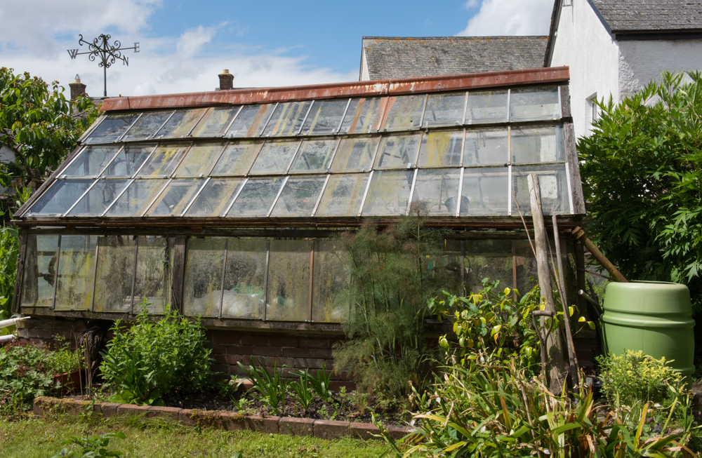 dirty greenhouse