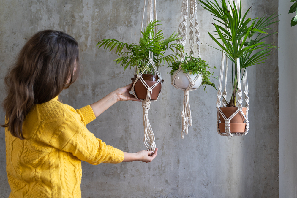 Macrame plant hanger