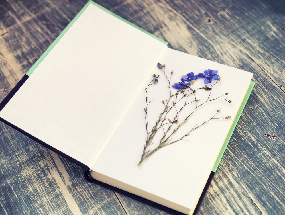 pressing flowers for a bookmark