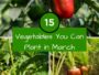15 Vegetables You Can Plant in March
