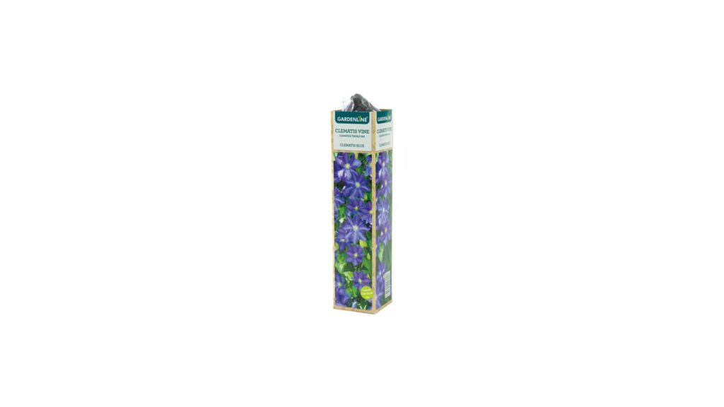Gardenline clematis assortment