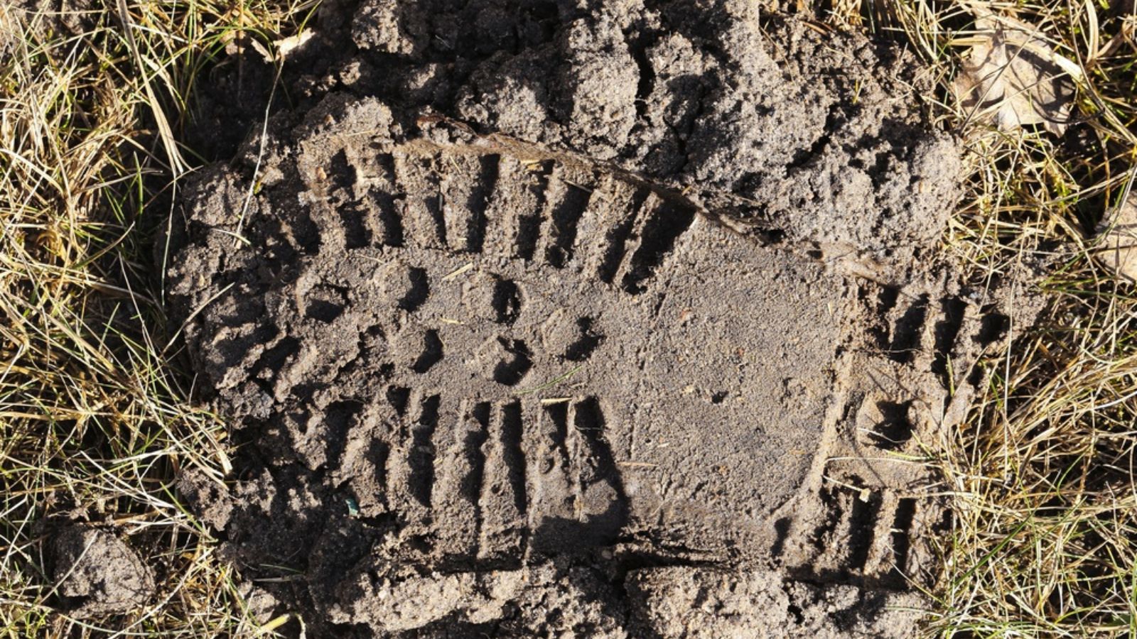 fresh footprint on soil