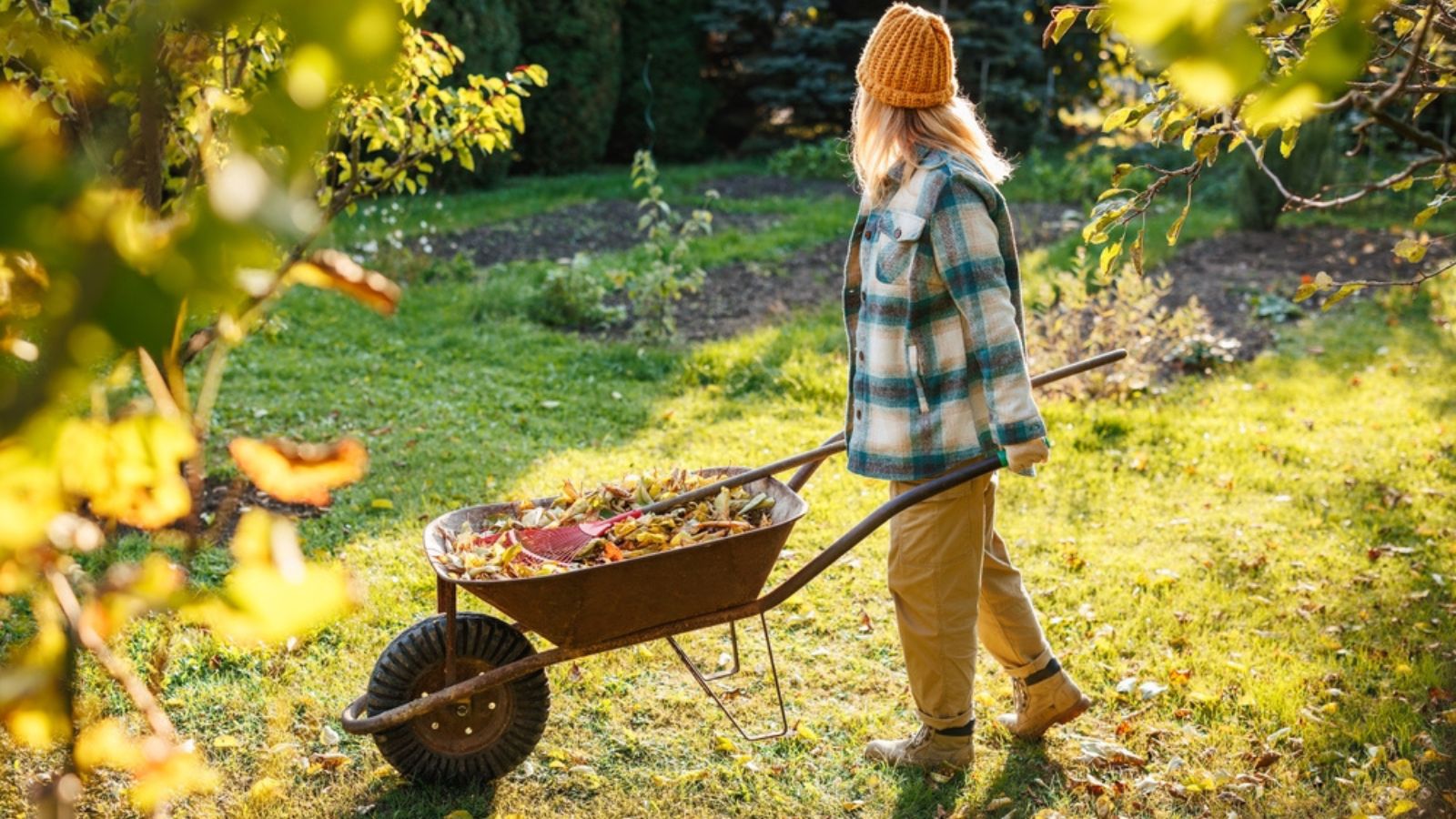 gardening in the fall