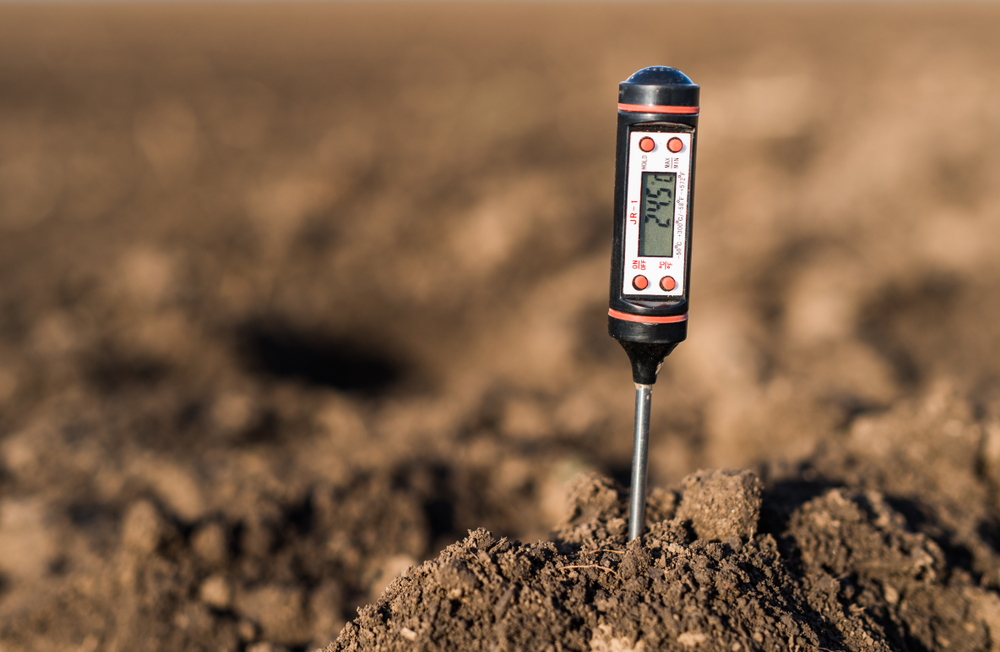 thermometer in soil