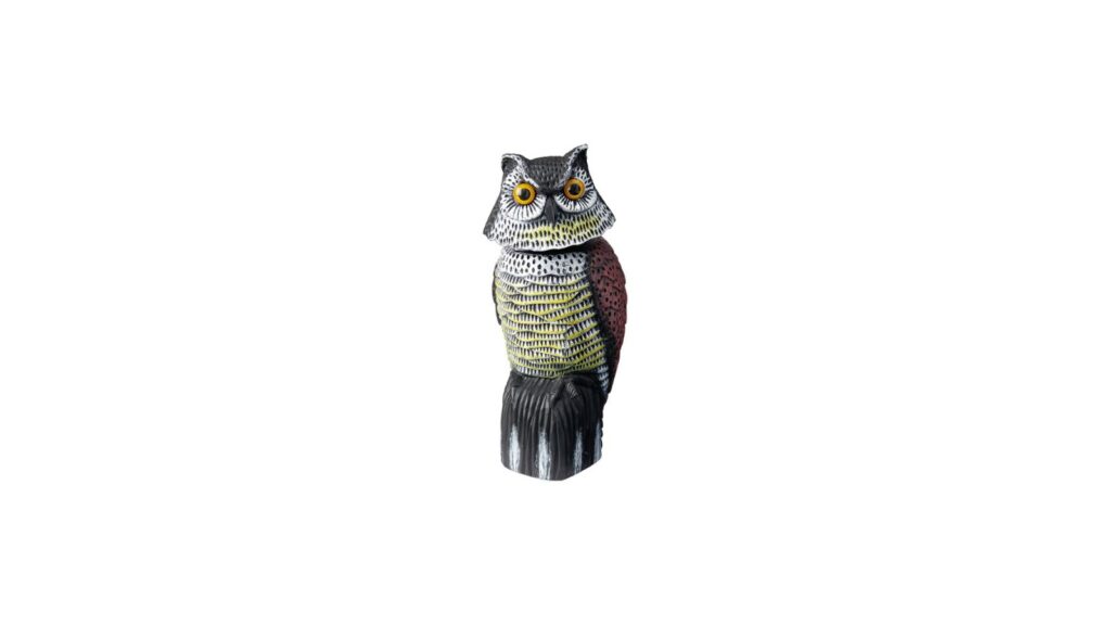 wiggle owl