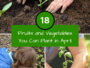 18 Fruits and Vegetables You Can Plant in April