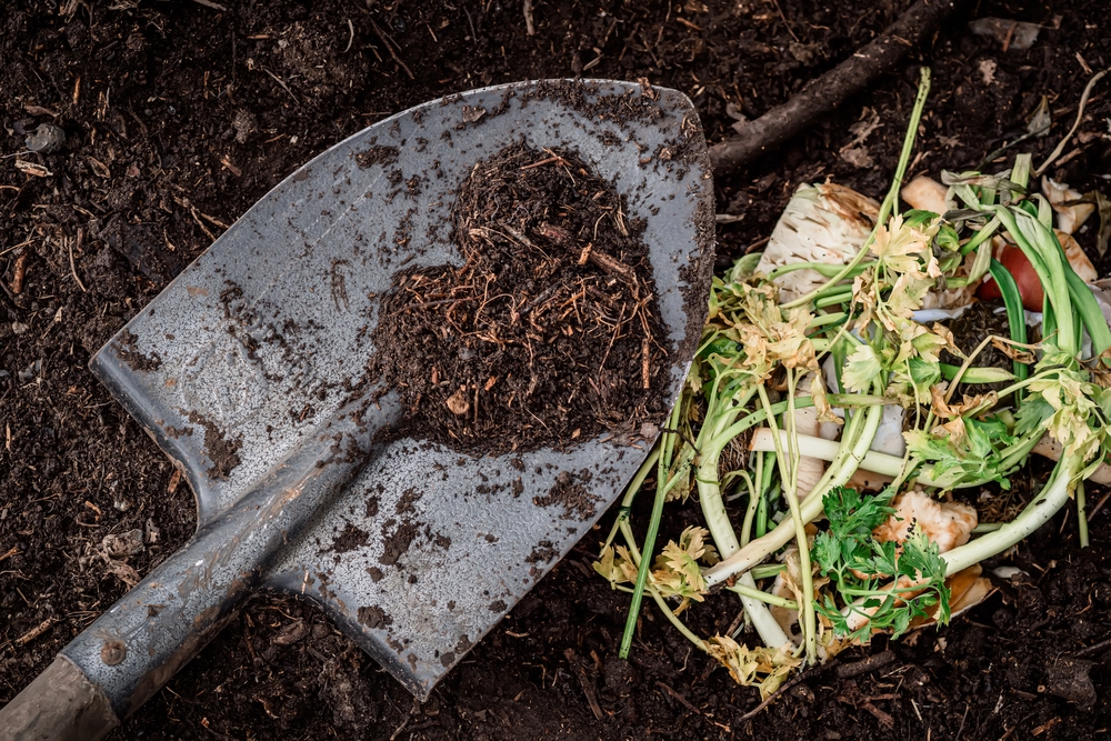 burying kitchen scraps in garden