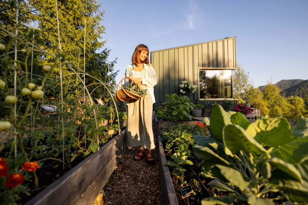 a woman in her vegetable garden