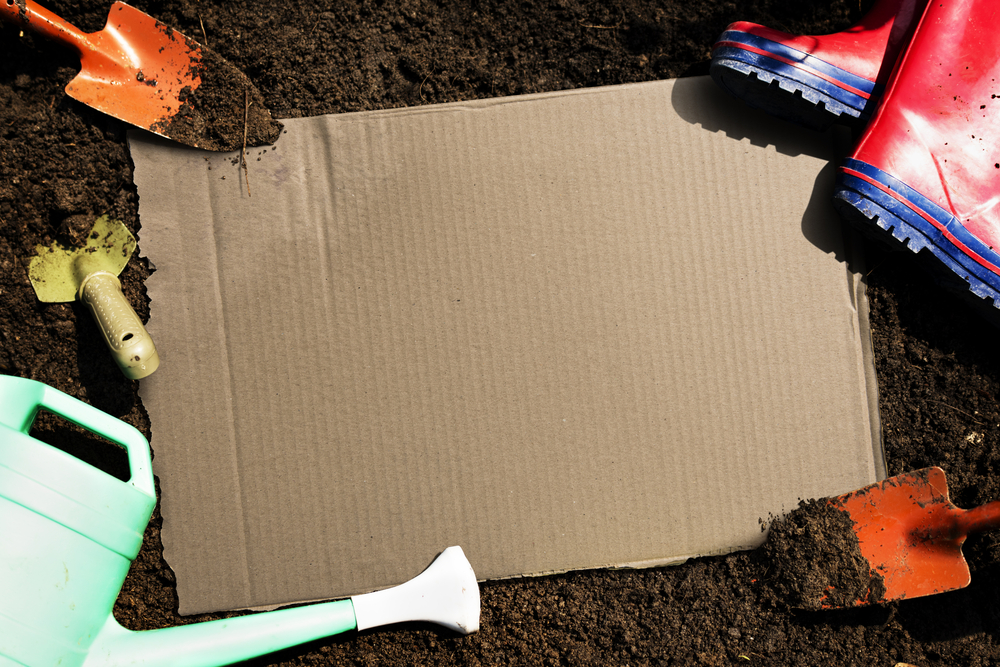 Cardboard on soil surrounded by gardening tools