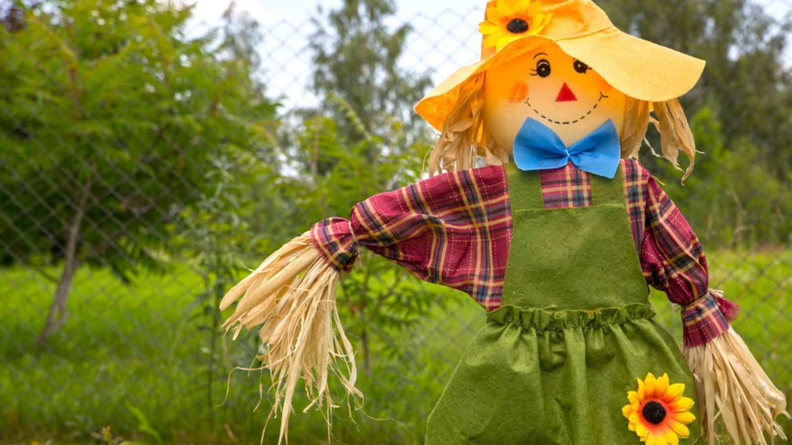 scarecrow