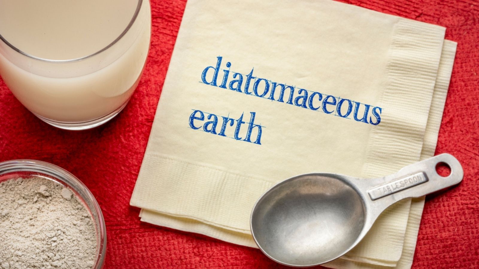 Diatomaceous Earth
