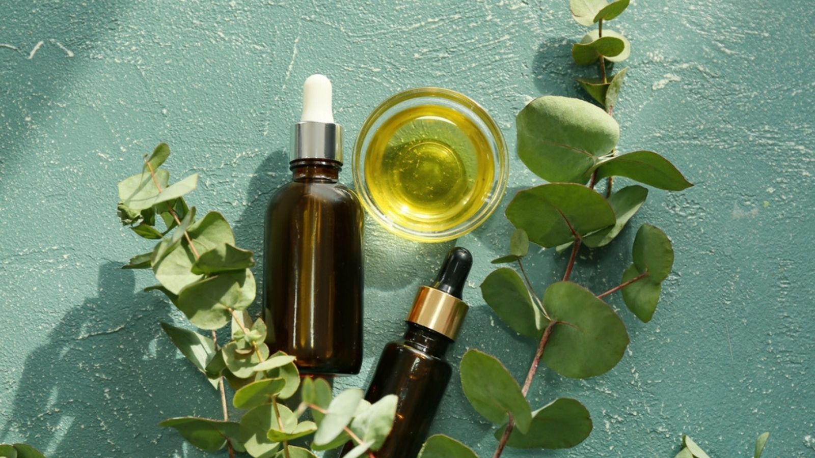 Eucalyptus Oil