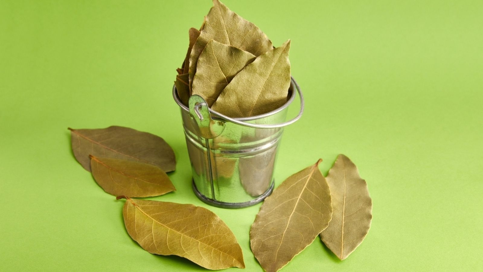 bay leaves