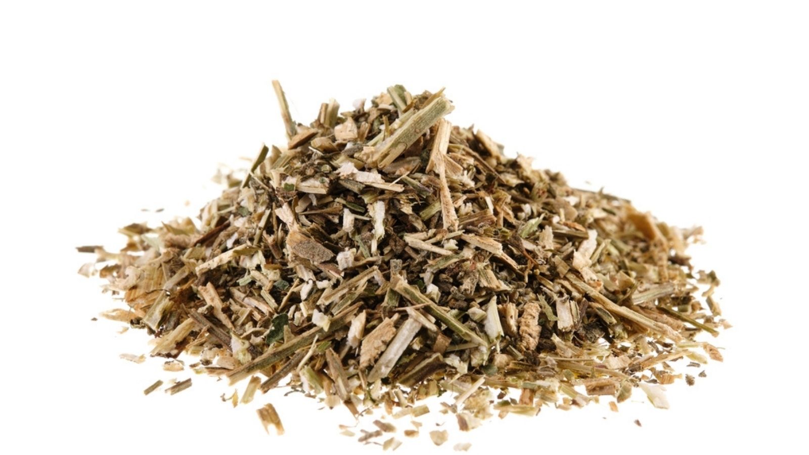 catnip