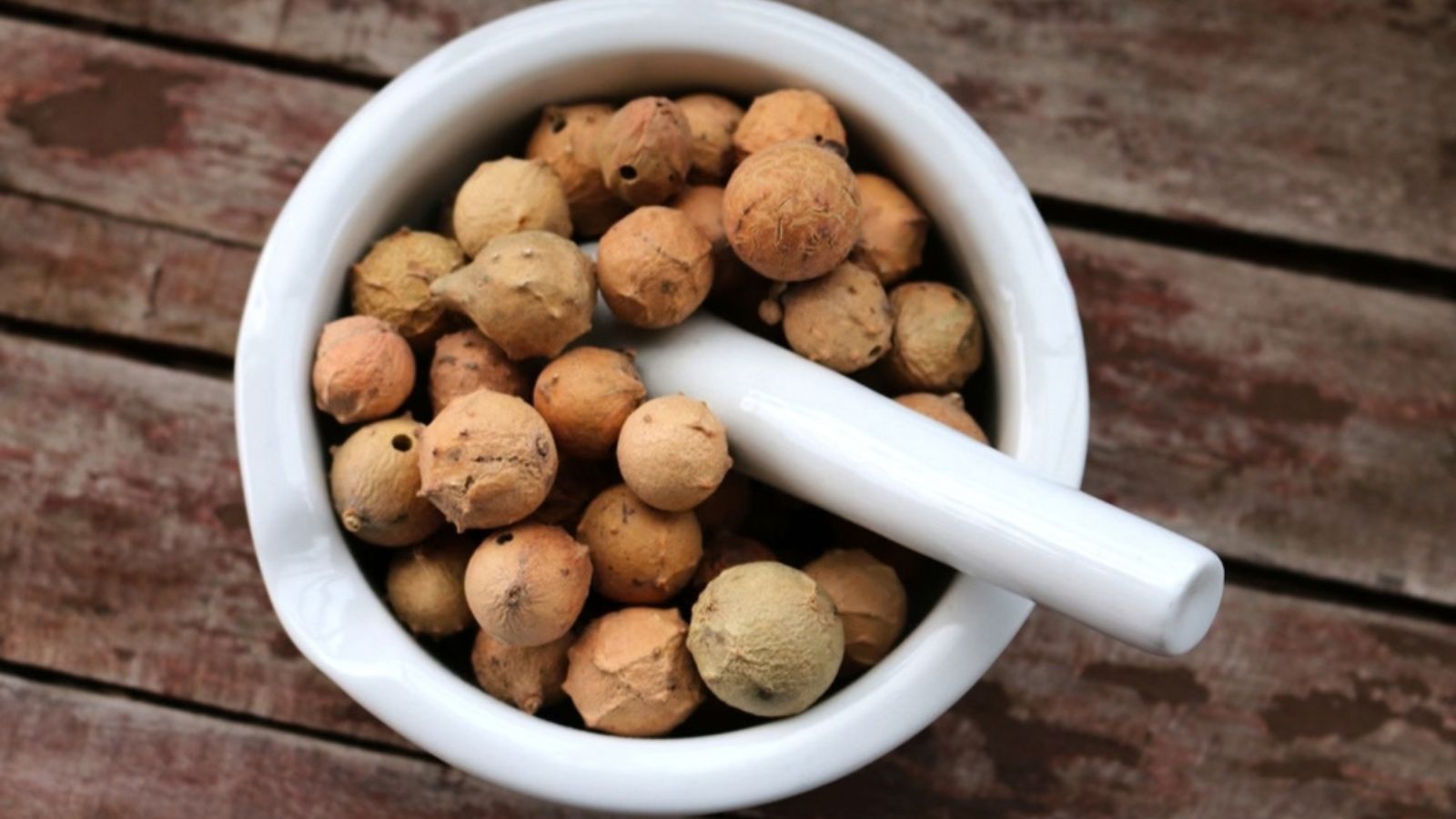 crushing oak galls