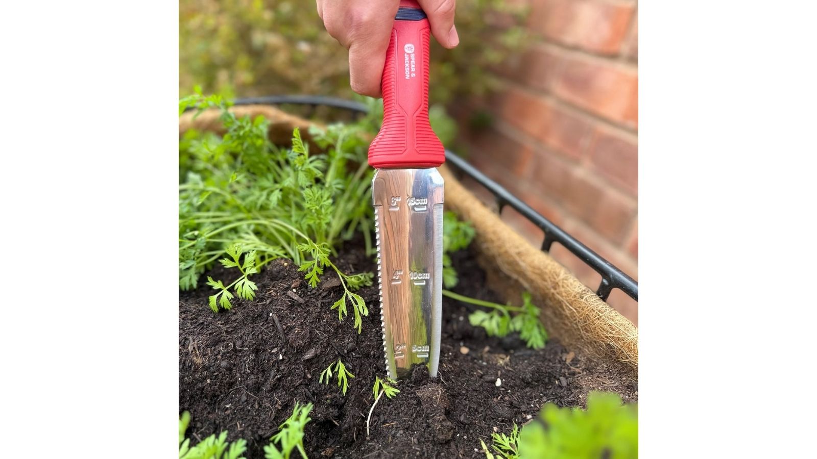 hori hori knife digging weeds