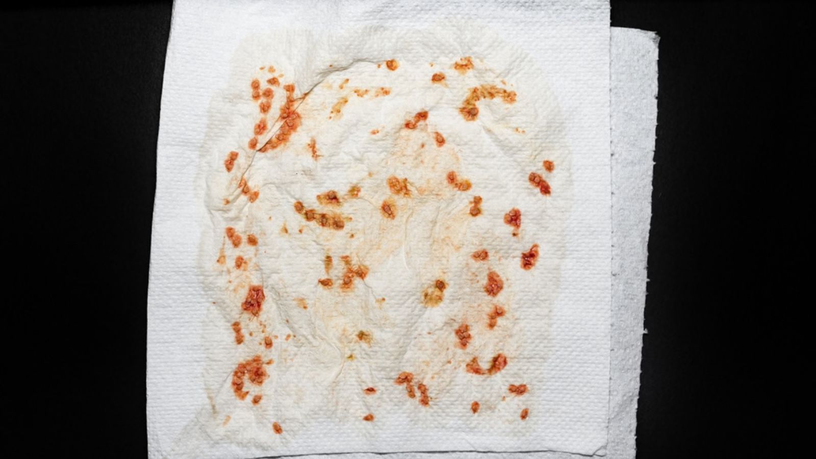 tomato seeds on paper towel
