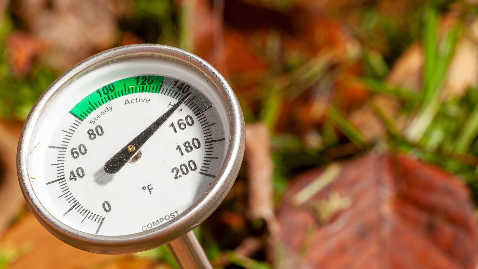 A compost thermometer inserted into a mixture of autumn leaves and grass clippings