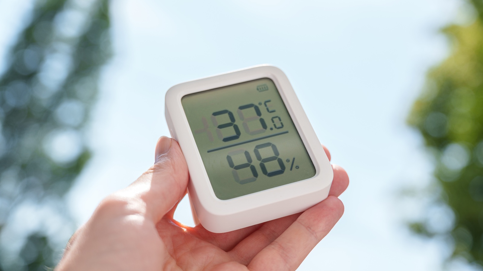 A hand holding an outdoor digital thermometer showing 37 degrees Celsius