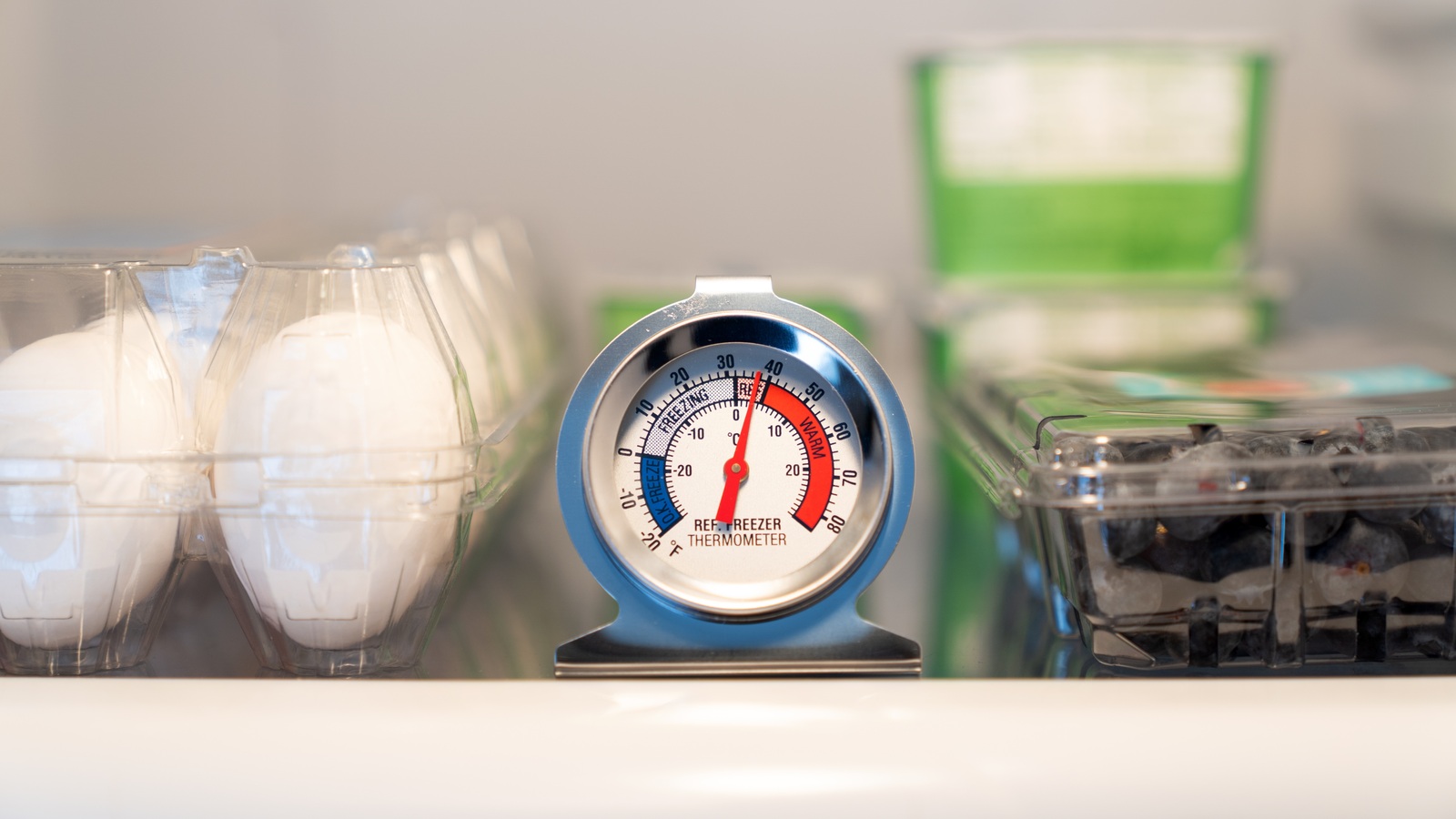 An analogue refrigerator thermometer on a fridge shelf between eggs and blueberries