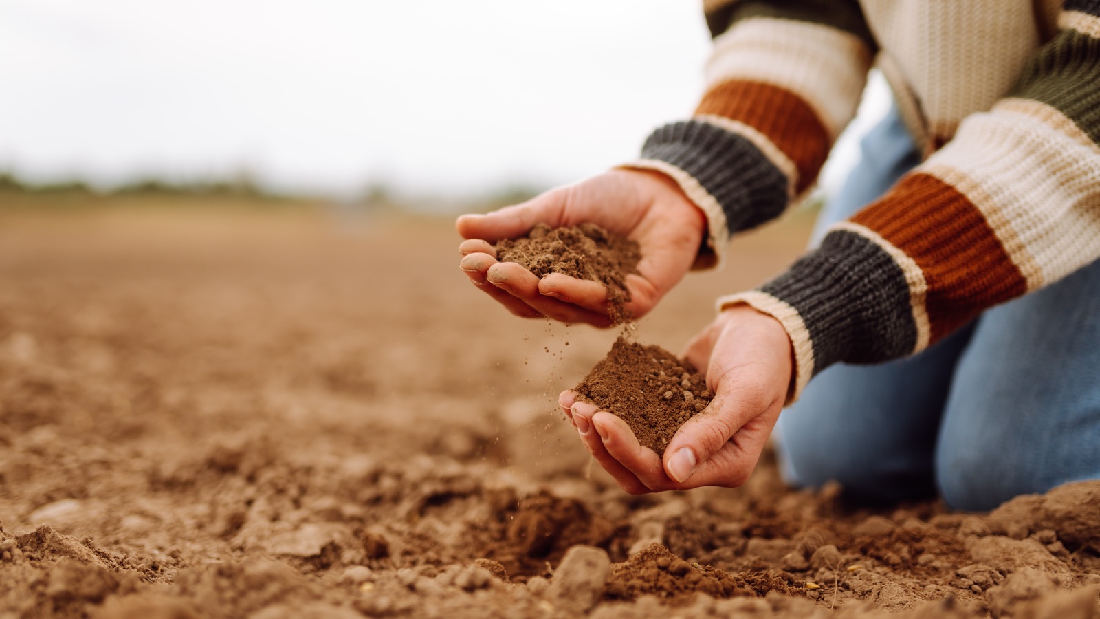 Hands checking the texture of loose garden soil