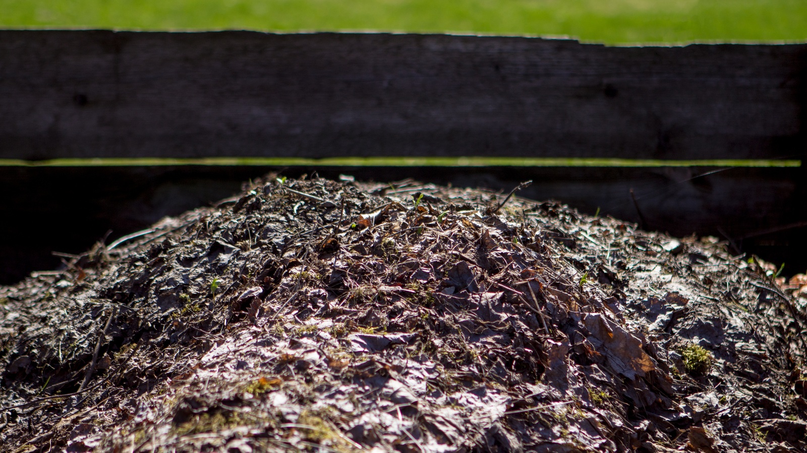 Dark decomposing leaf material in a wooden garden bin