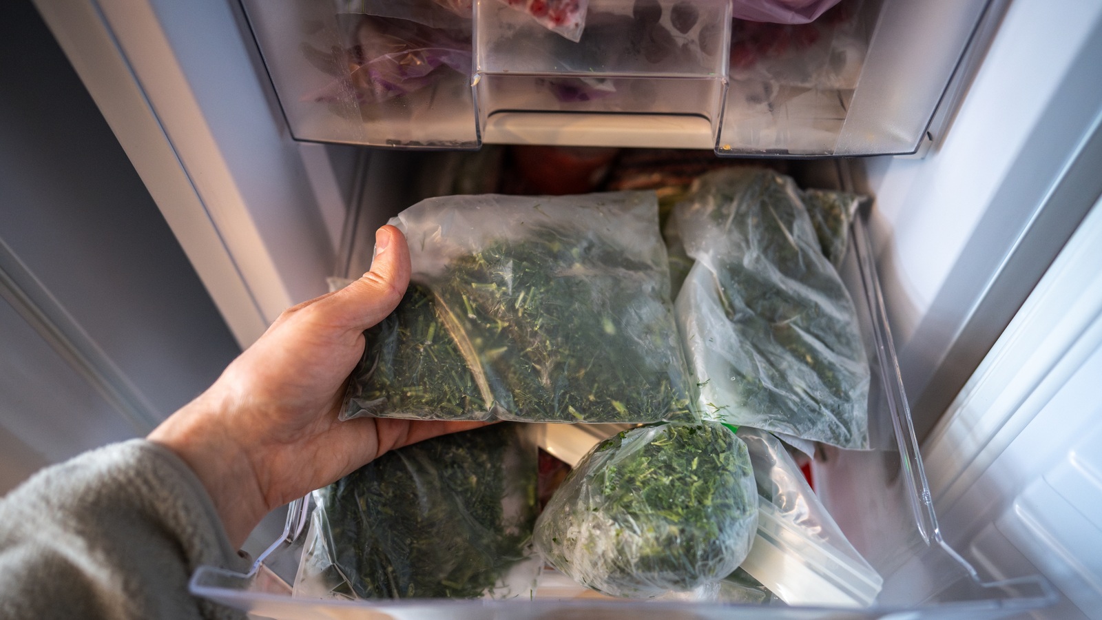 A hand holding a sealed bag of chopped dill in an open freezer