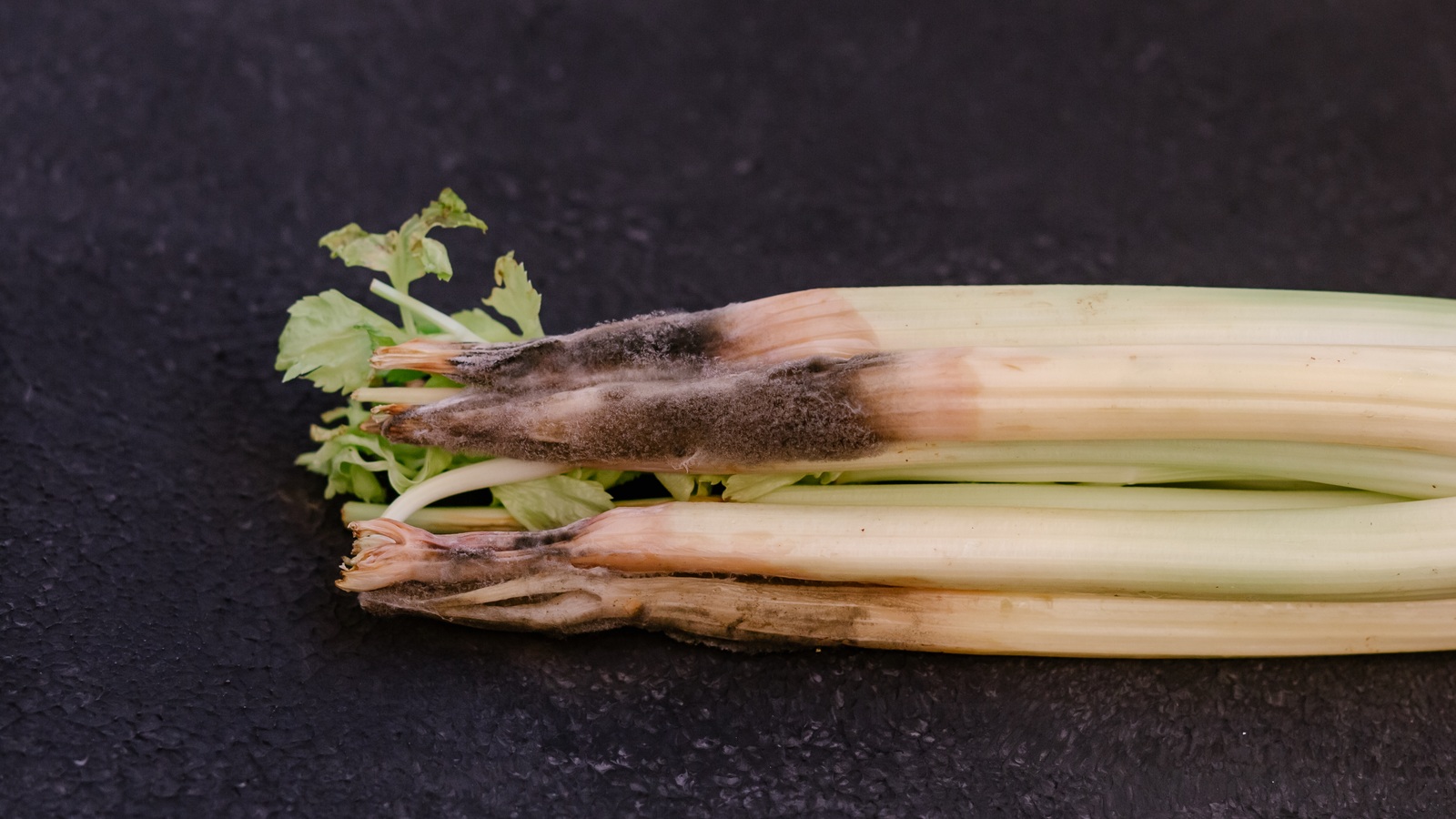 Dark mold and brown decayed patches spreading along celery stalks