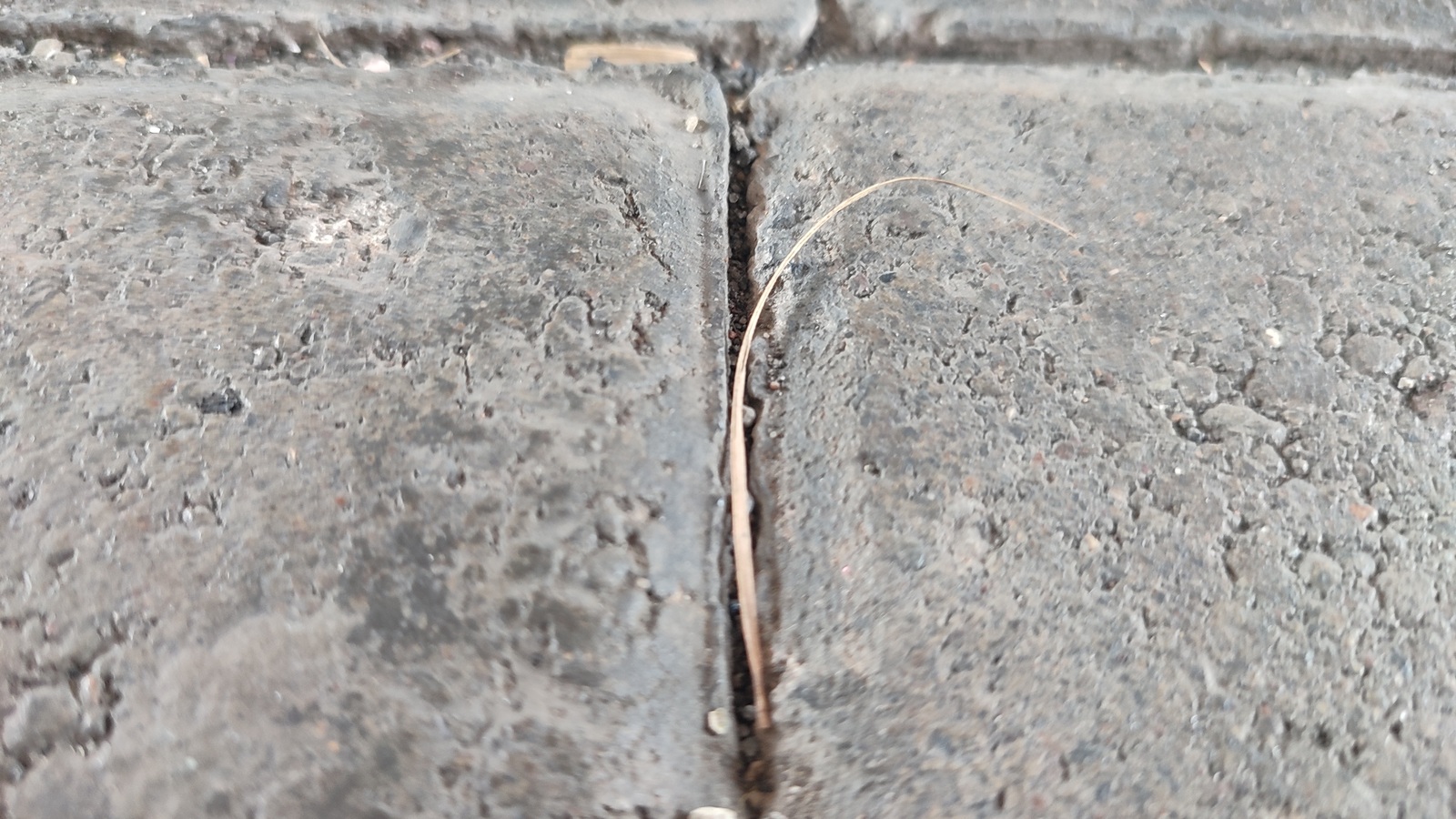 Closely fitted concrete paving blocks with narrow sandy joints