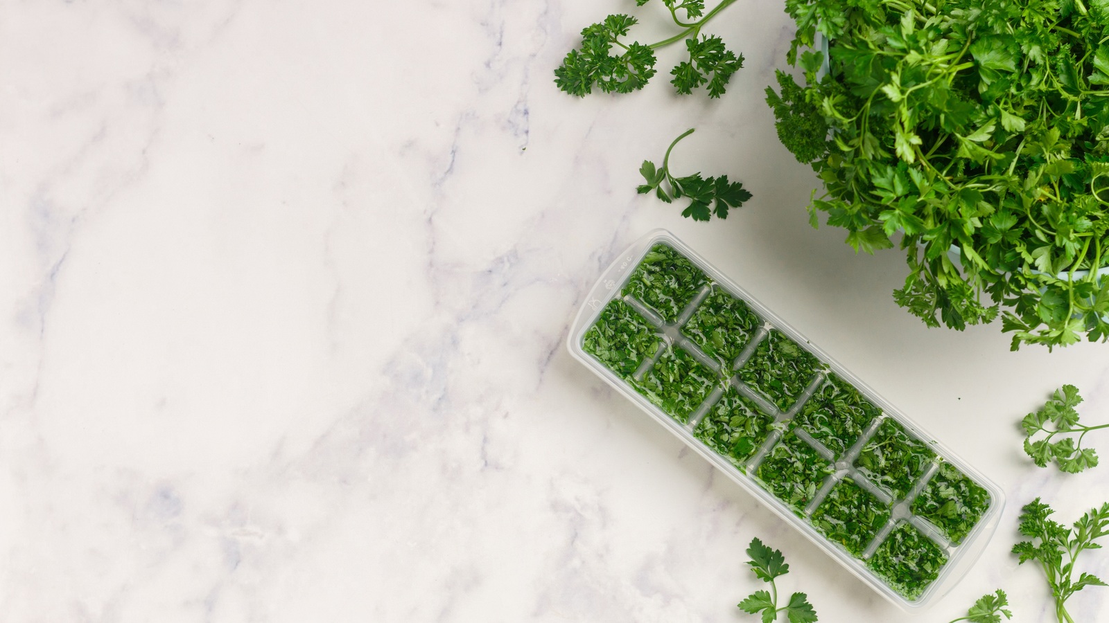 An ice cube tray filled with chopped parsley and water beside fresh parsley