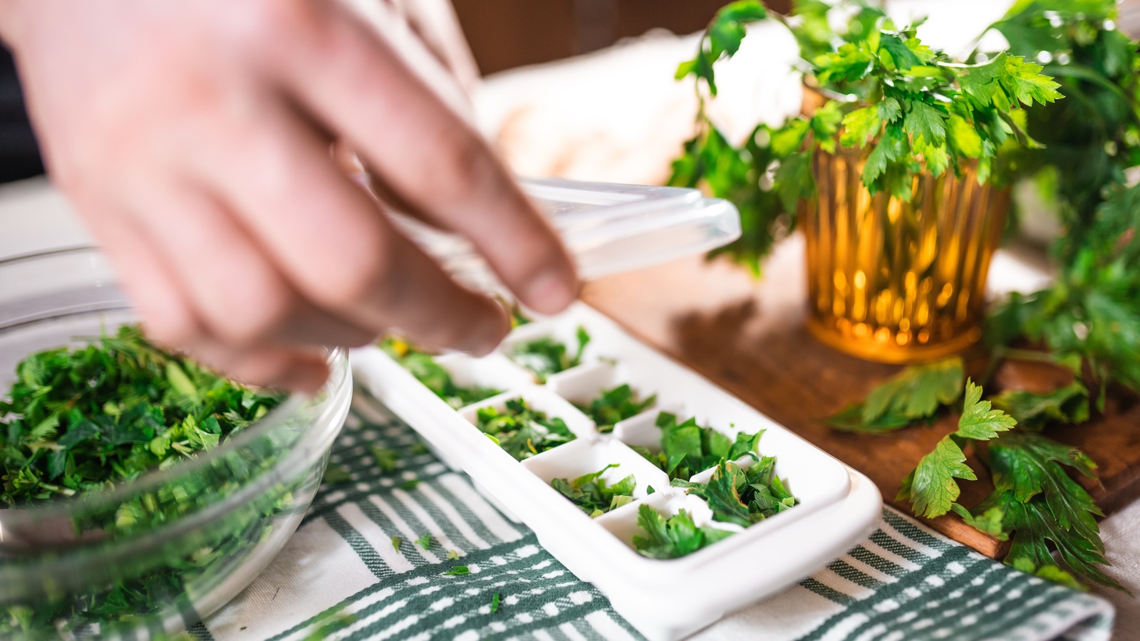 A hand filling an ice cube tray with chopped parsley