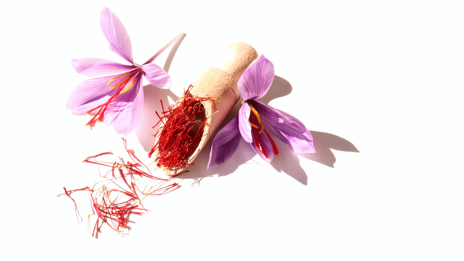 Purple saffron flowers beside a wooden scoop holding red saffron threads