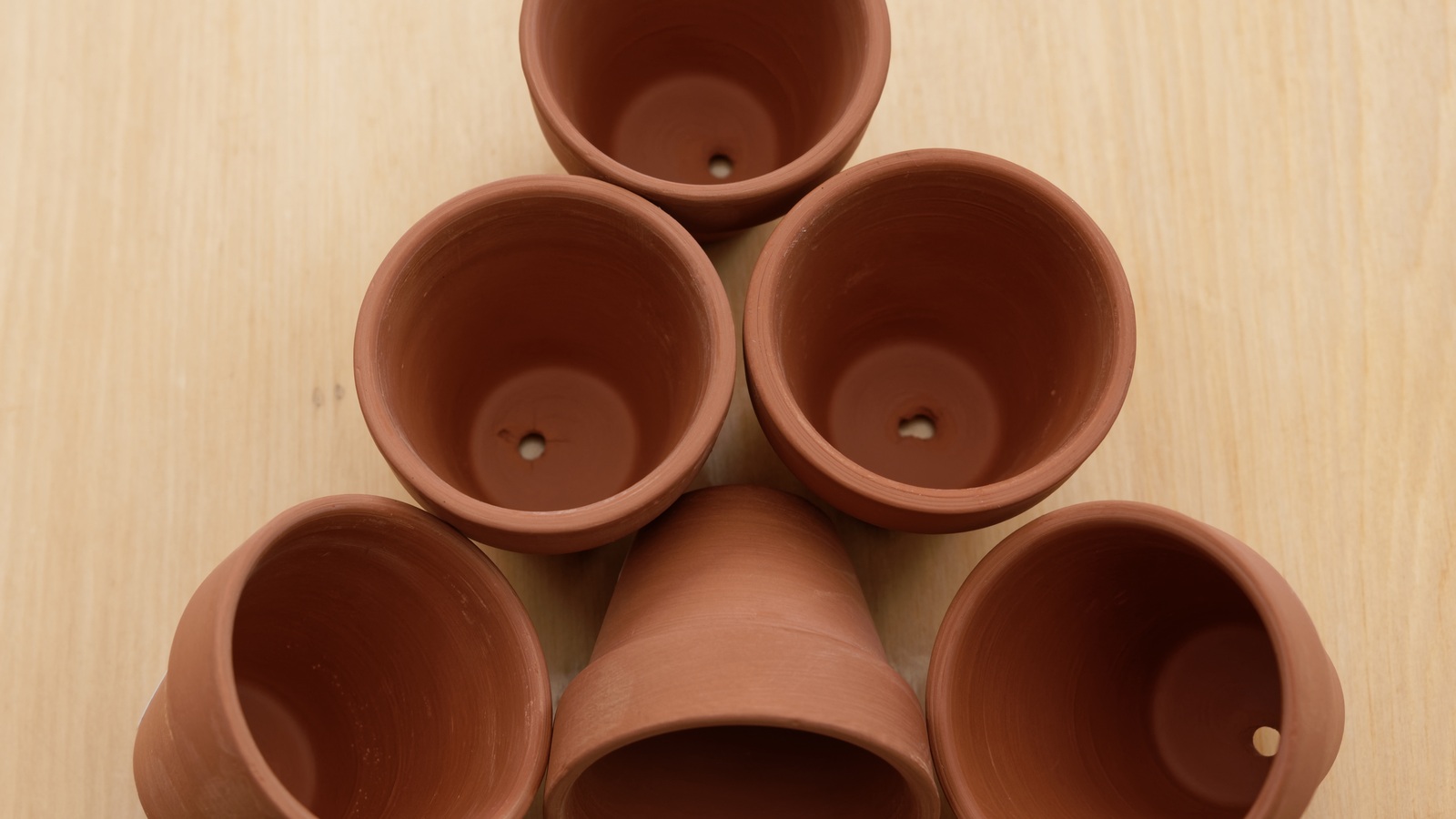 Empty terracotta flowerpots with drainage holes visible in their bases