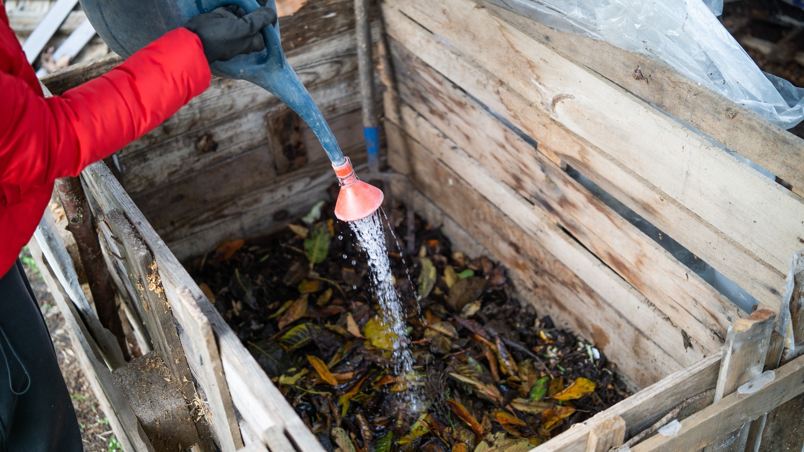 Water from a watering can falling onto leaves inside a wooden compost bin