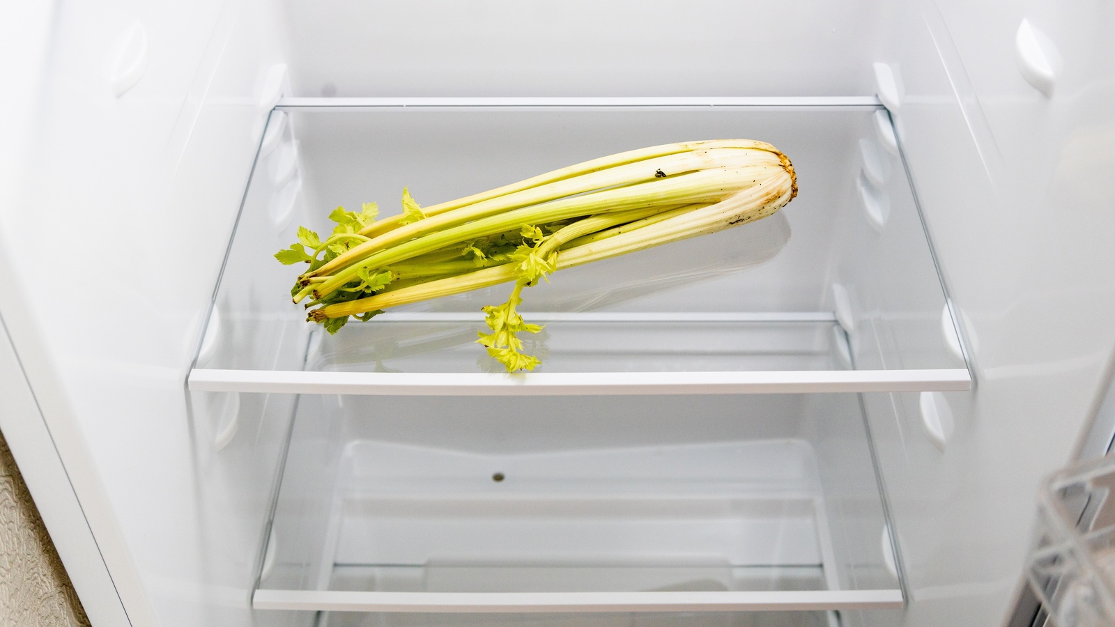 A withered celery bunch lying on a glass refrigerator shelf